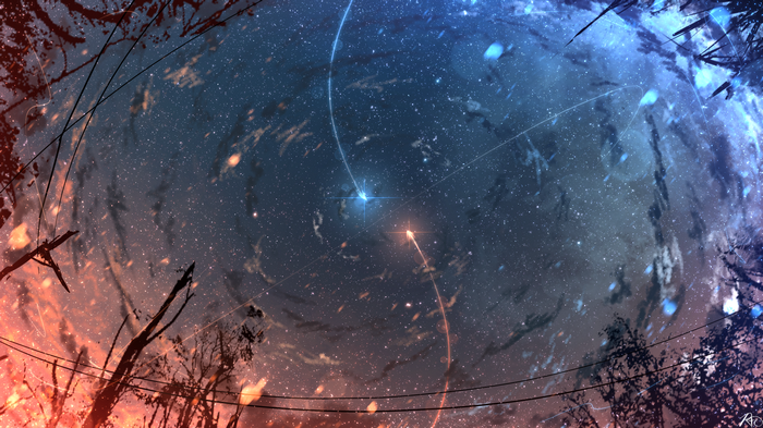 Starry night sky with trees and power lines