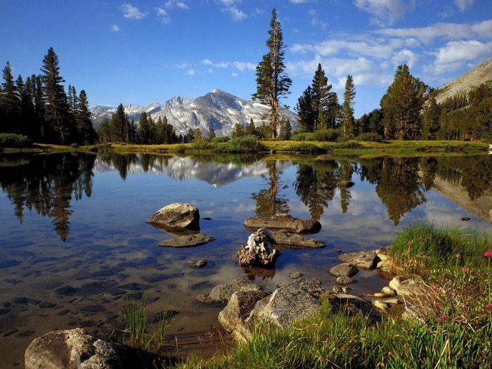 Mountain lake with trees and reflections