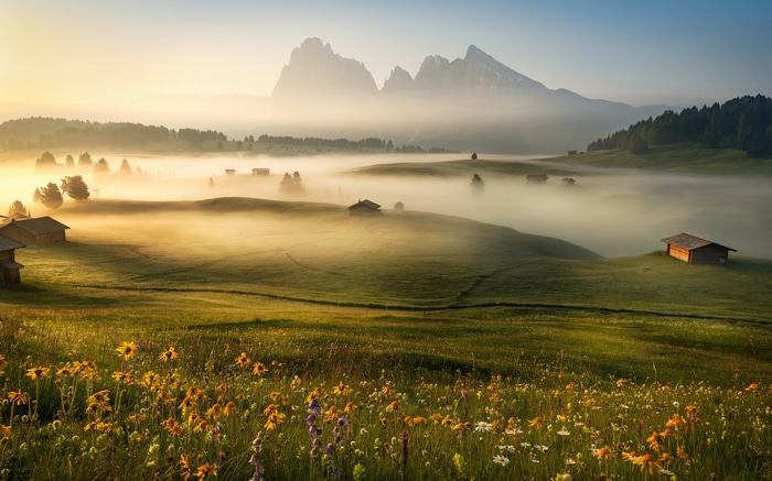 4K Dolomites landscape with mist and flowers