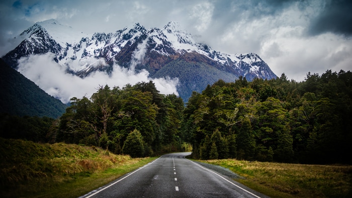 4K road through trees to snow-capped mountains in New Zealand