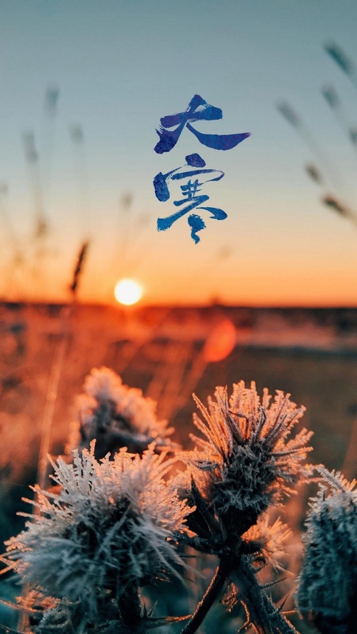 Winter sunset over frosted plants