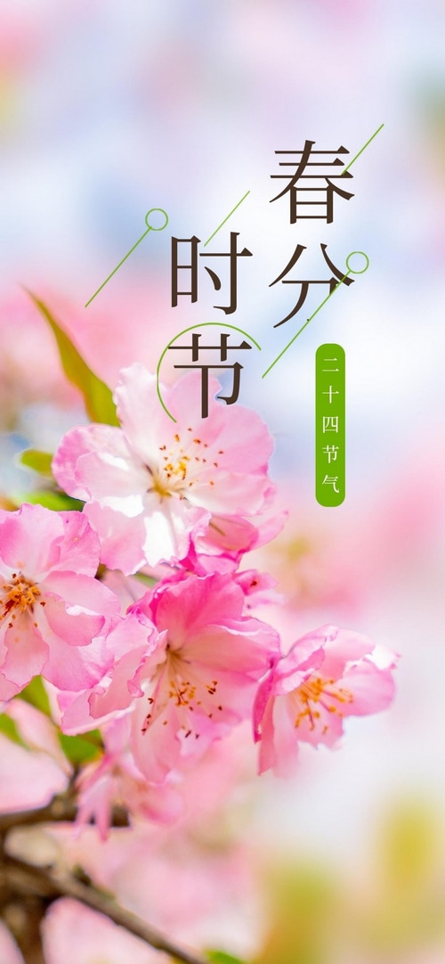 Spring Equinox Chinese Solar Term Flowers