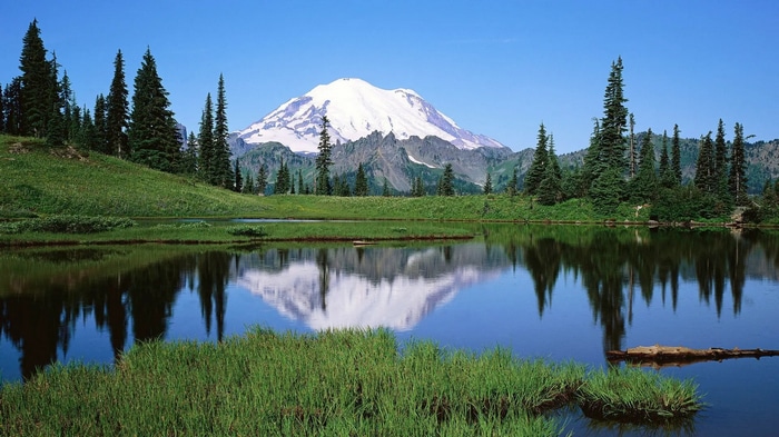 Snow-capped mountain reflected in a calm lake with pine trees