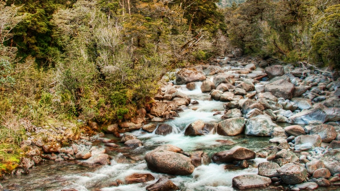 4K New Zealand River with Rocks and Forest