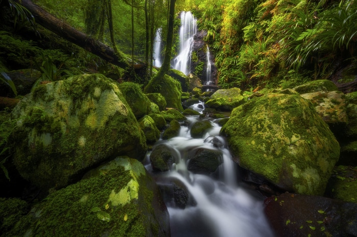 Moss-covered rocks and a waterfall in a forest