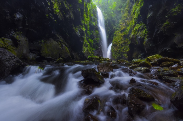 Waterfall cascading into a rocky river in a mossy forest