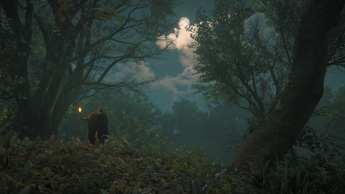 Assassin's Creed Valhalla: Man with torch in forest
