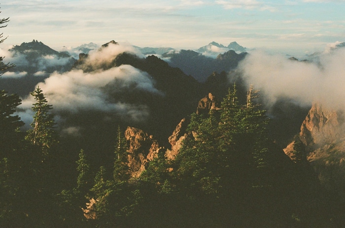 Mountains shrouded in clouds with pine trees