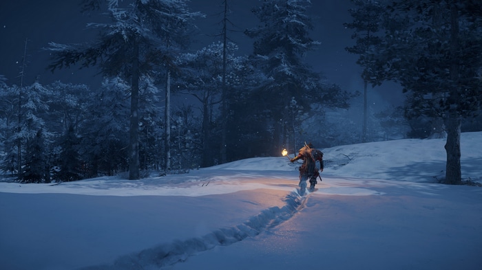 Assassin's Creed Valhalla: Man with torch in snowy forest at night