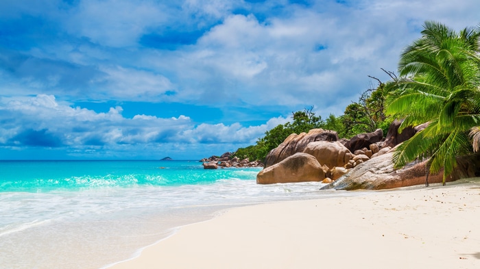 4K Tropical Island Beach with Palm Trees and Rocks