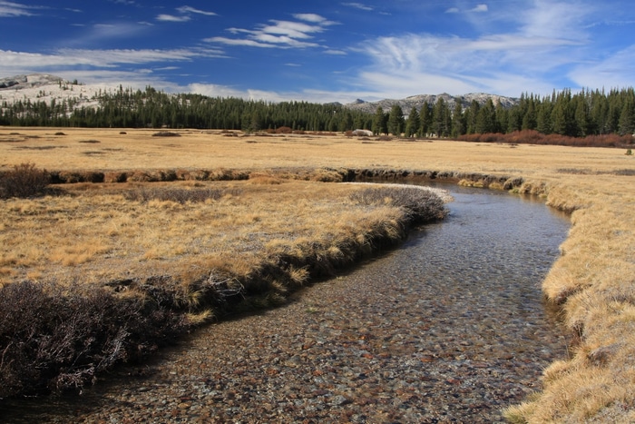 A clear creek flows through a dry meadow with trees in the background