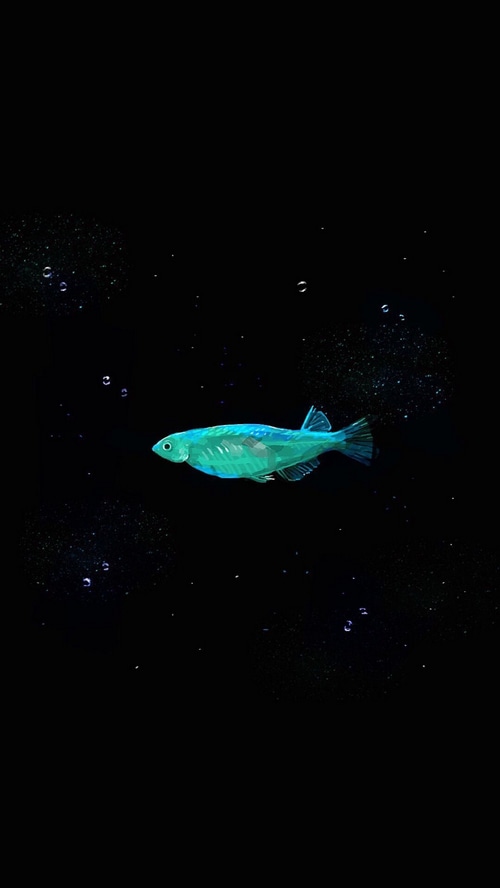 A glowing blue fish swims in darkness