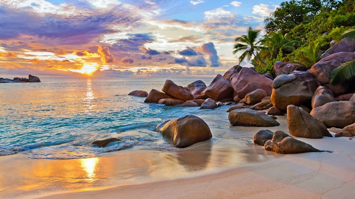 Sunset over a rocky beach with palm trees