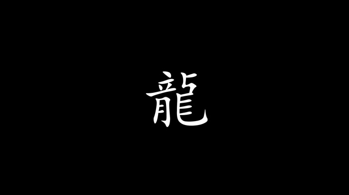Chinese character for dragon on black background