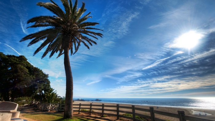 4K Santa Monica Beach with Palm Tree and Pier