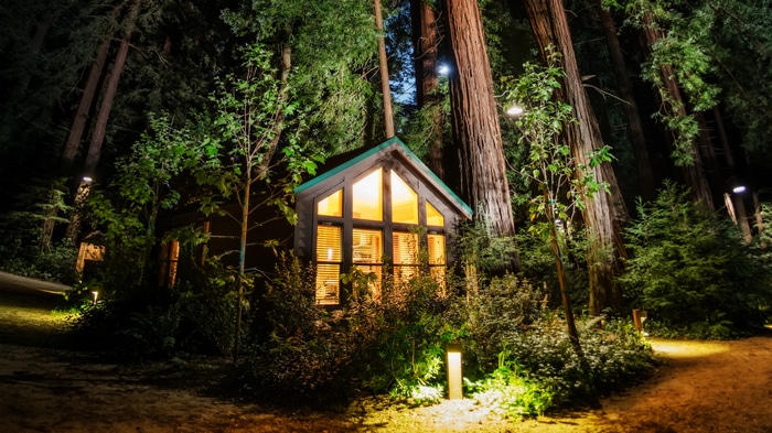 4K cabin in California redwood forest at night