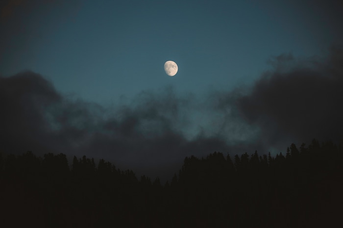 Moon over a dark forest with clouds