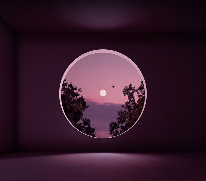 Circular window view of moonlit sky with trees and bird