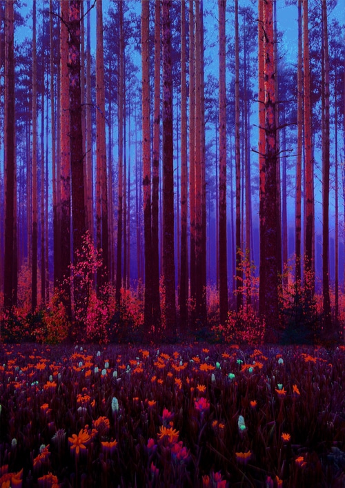 Surreal forest at night with glowing flowers