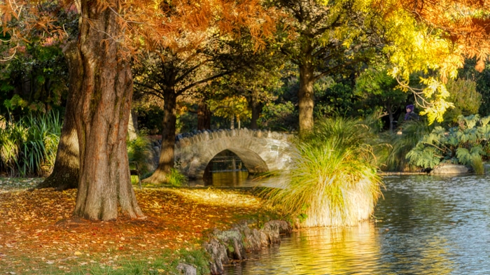 Autumn scene with stone bridge over water in New Zealand