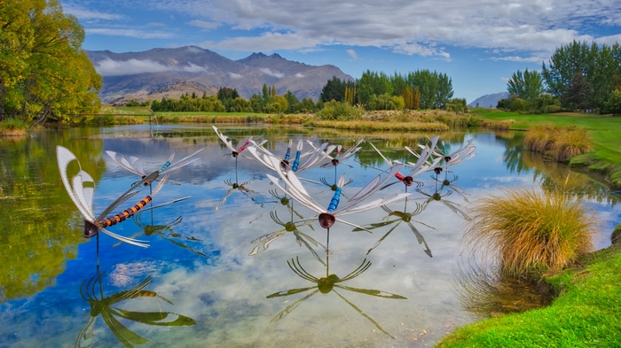Dragonfly sculptures on a lake in New Zealand