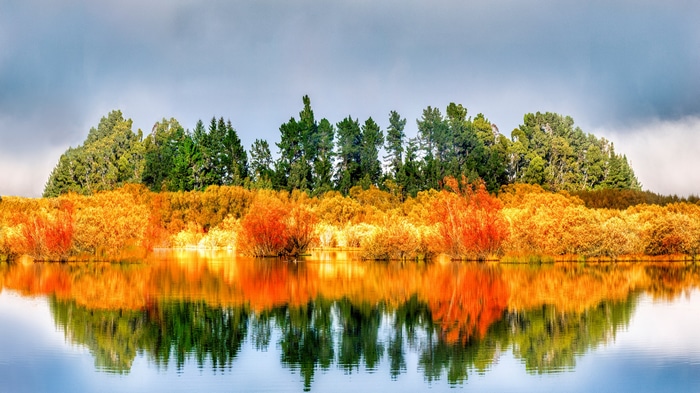 4K reflection of trees and fall foliage in water