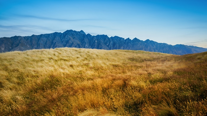 4K landscape of mountains and golden grass field