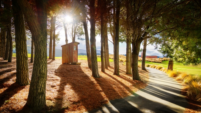 4K Queenstown New Zealand Trees and Shed