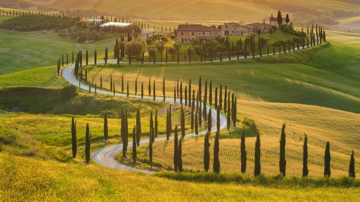 Winding road through Tuscan hills with cypress trees