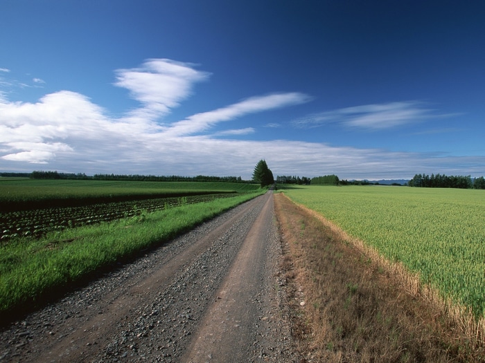 Gravel road through green fields under a blue sky
