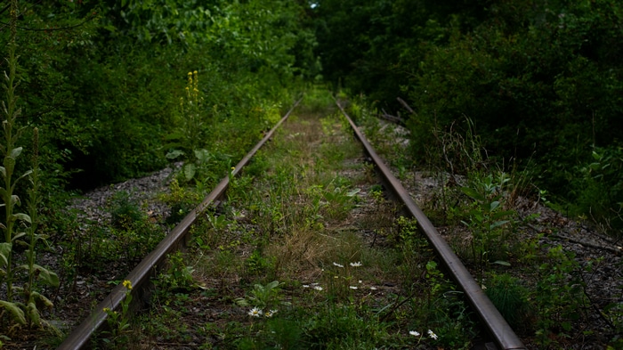 Abandoned overgrown railway in nature