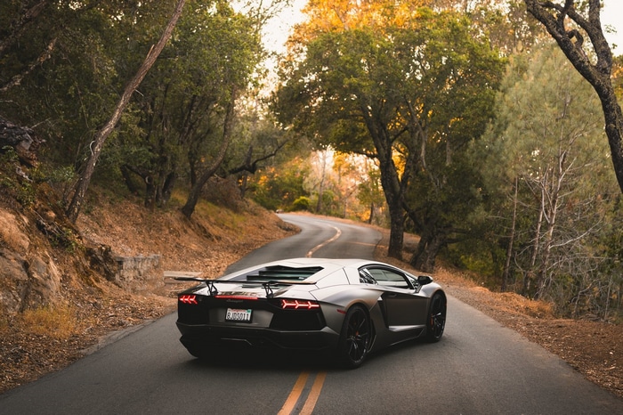 Lamborghini Aventador on a winding road through trees
