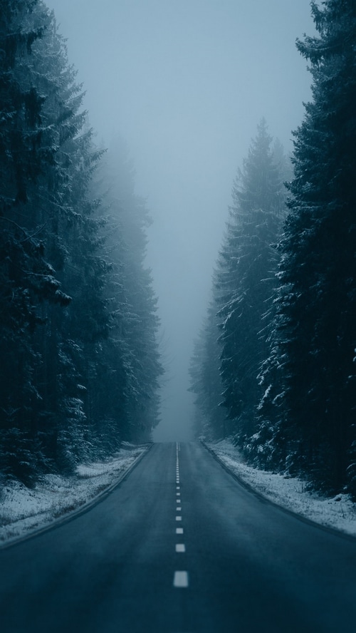 A lonely road through a snowy winter forest