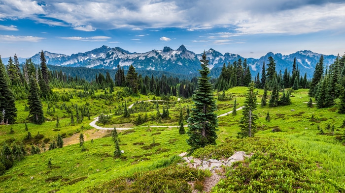 4K Nature Landscape with Mountains and Forest