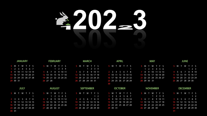 2023 Calendar with Rabbit Graphic