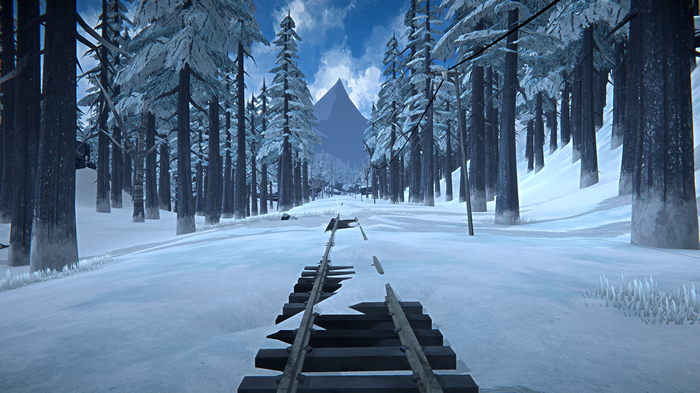 The Long Dark 4K Snow Train Tracks