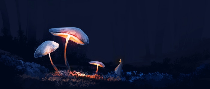 4K glowing mushrooms in a dark forest at night