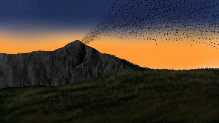 Bats flying from a mountain at sunset