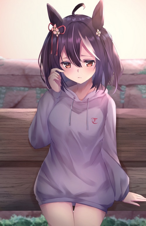 Kitasan Black in a Hoodie