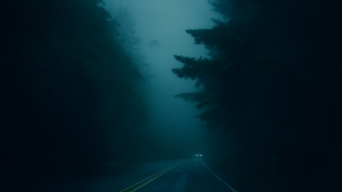 Car driving on a foggy road through pine trees