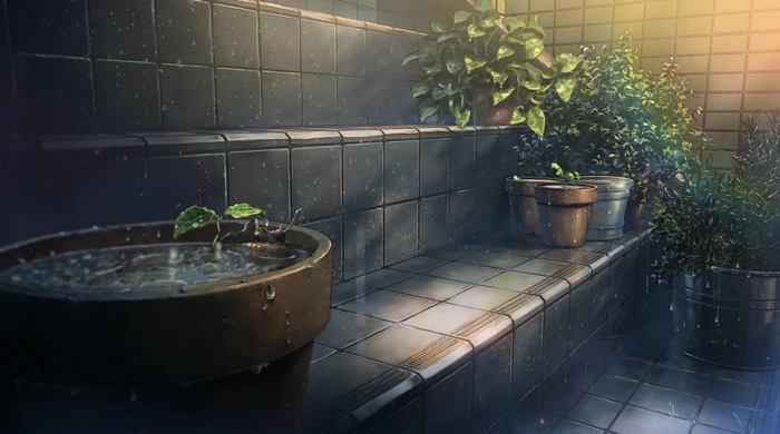 Rain falling on plants in pots on steps