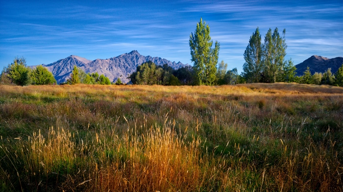 4K landscape of grass field and mountains in New Zealand
