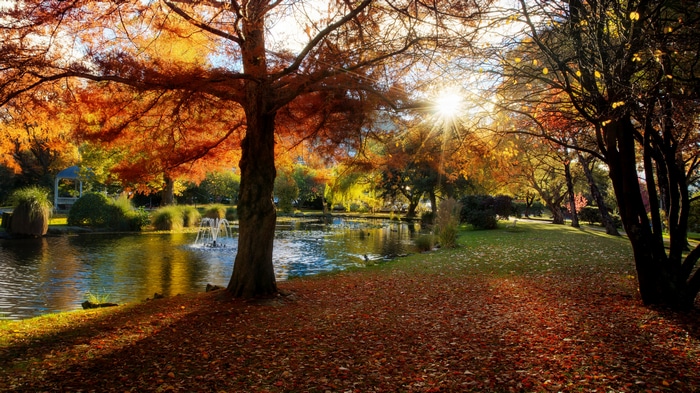 Autumn park in Queenstown, New Zealand with lake and fountain