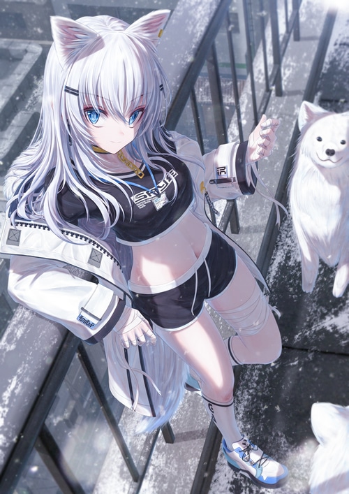 Anime girl with cat ears and white dog in snow
