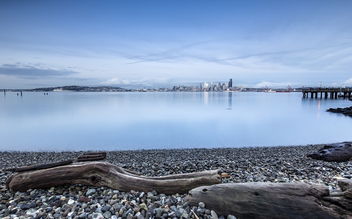 Seattle skyline over calm water with driftwood on shore