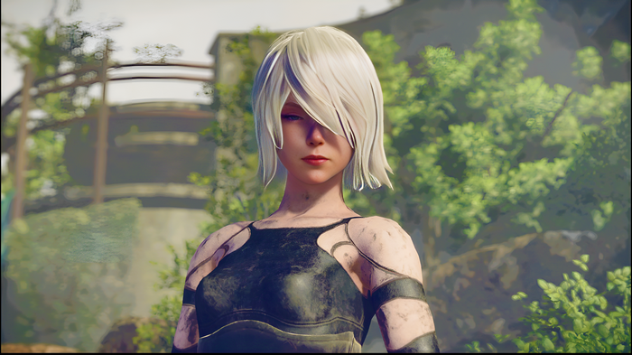 A2 from Nier: Automata in a natural setting
