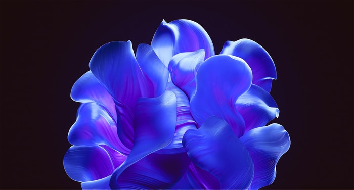 4K Windows 11 abstract blue flower