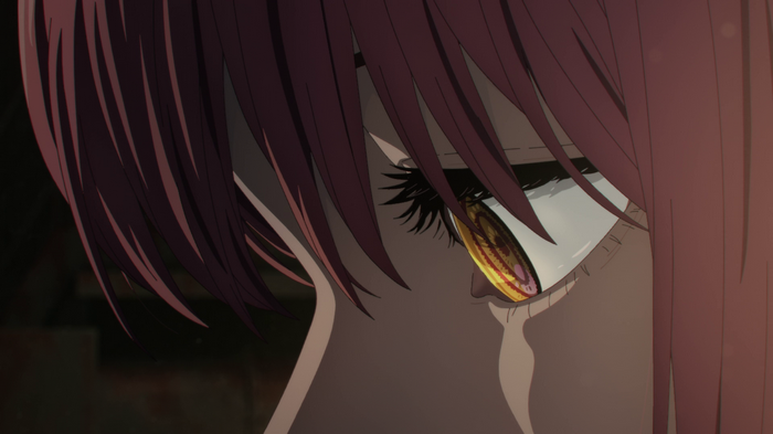 Makima's eye from Chainsaw Man