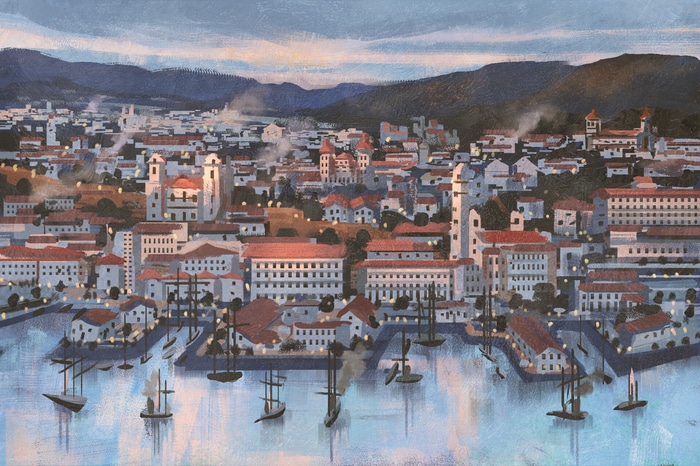 Coastal city with ships and mountains