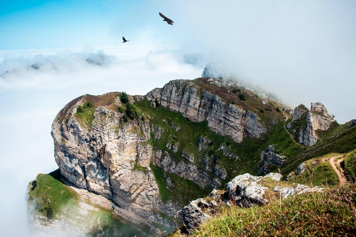 Birds flying over the Bernese Alps in Switzerland